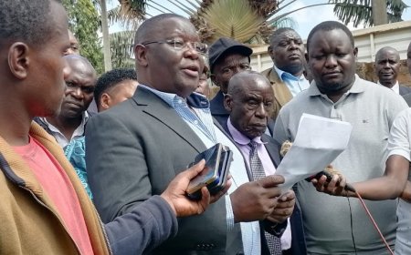 KISII: MCA FILES MOTION TO IMPEACH  DEPUTY GOVERNOR ROBERT MONDA