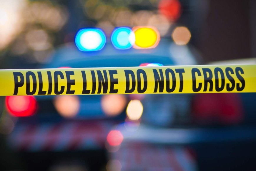 TWO ACCUSED THIEVES WERE SHOT DEAD BY POLICE DURING A SUPERMARKET THEFT IN NAIROBI.