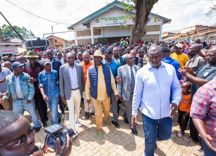 KISII;  RAILA ODINGA OPENS REVOLUTIONARY AGRICULTURAL CENTERS TO PROMOTE HORTICULTURE