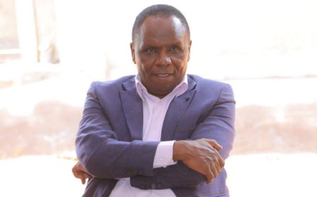 THE PLENARY TO HEAR MONDA'S IMPEACHMENT MOTION.