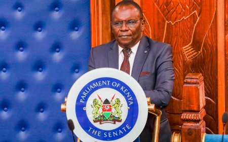 SENATE CROSS-EXAMINES WITNESSES IN IMPEACHMENT PROBE OF DG DR ROBERT MONDA