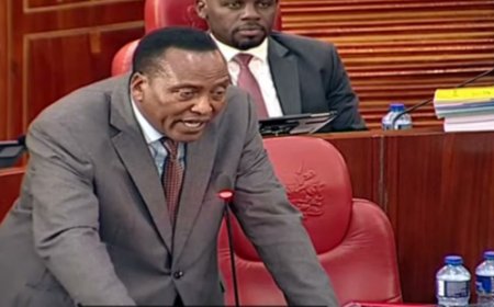 ONYONKA'S ACCOUNT OF HIS ATTEMPT TO SAVE DG ROBERT MONDA FROM BEING IMPEACHED