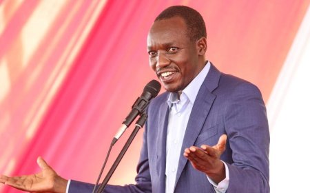 Prominent figures fronted for the Kisii DG post include ex-PS Mochache and former MP Tong'i. Susan Mochache, the former Health Principal Secretary under Uhuru Kenyatta, is one of the prominent figures being considered to succeed deposed Kisii Deputy Governor Robert Monda.
