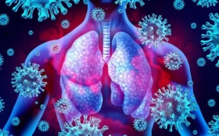 JE, NIMONIA NI NINI NA HUSABABISHWA NA NINI?