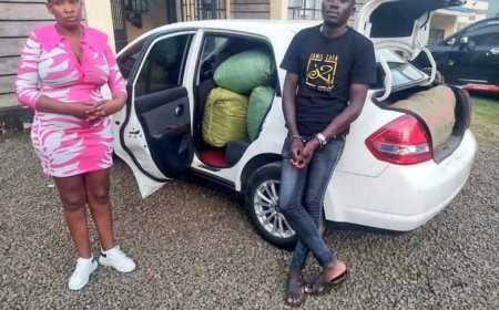 NYAMIRA: MAN AND WOMAN DETAINED WITH KSH.5 MILLION WORTH OF DRUGS