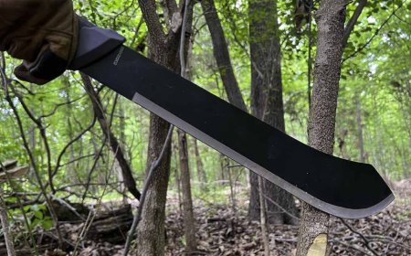 MAN CHOPS UP MOTHER'S BODY AFTER KILLING HER.