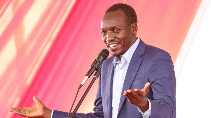 Prominent figures fronted for the Kisii DG post include ex-PS Mochache and former MP Tong'i. Susan Mochache, the former Health Principal Secretary under Uhuru Kenyatta, is one of the prominent figures being considered to succeed deposed Kisii Deputy Governor Robert Monda.