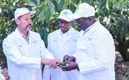 GOVERNMENT SEES TO GAIN A PIECE OF THE $171.8 BILLION GLOBAL SUPERFOODS MARKET THROUGH COOPERATION: CS CHELUGUI
