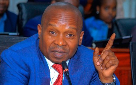 INTERIOR CS KITHURE KINDIKI PROMISES TO PUT AN END TO THE ILLEGAL LIGHT TRADE.