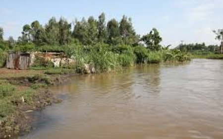 OVER 600 PEOPLE HAVE BEEN DISPLACED BY FLOODS DUE TO HEAVY RAINS