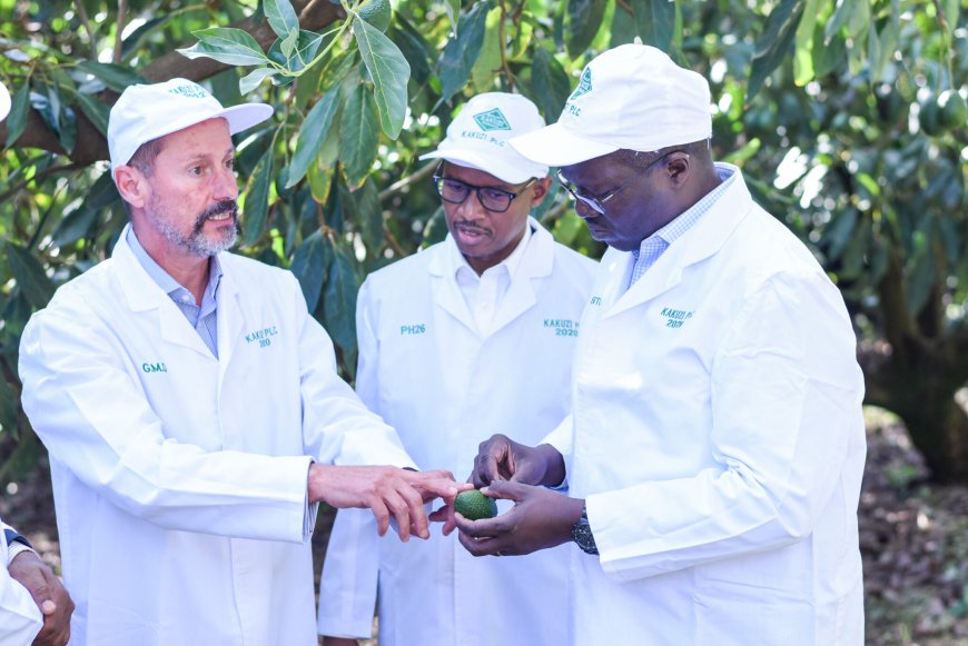 GOVERNMENT SEES TO GAIN A PIECE OF THE $171.8 BILLION GLOBAL SUPERFOODS MARKET THROUGH COOPERATION: CS CHELUGUI