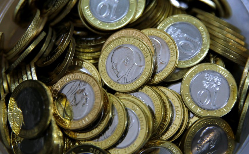 THE ECONOMY GAINS MOMENTUM FROM THE SHILLING'S SURGE.