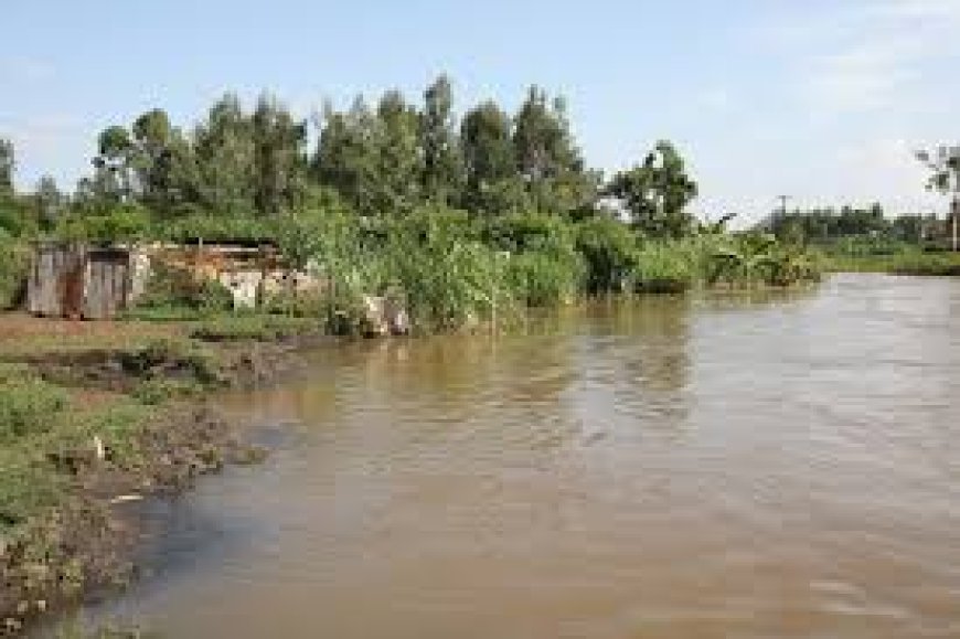 OVER 600 PEOPLE HAVE BEEN DISPLACED BY FLOODS DUE TO HEAVY RAINS