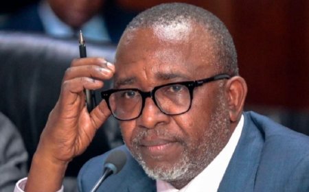 DPP ORDERS THE ARREST OF CS LINTURI AND PS RONOH OVER THE ALLEGED FAKE FERTILIZER SCANDAL.