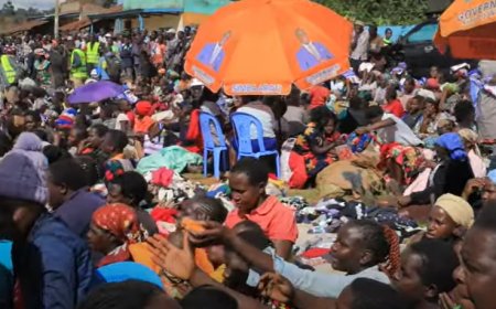 GESUSU MCA OPENS GESUSU OPEN MARKET