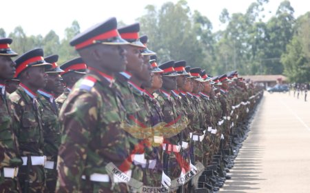 POMP AND COLOUR AT KDF PASS OUT