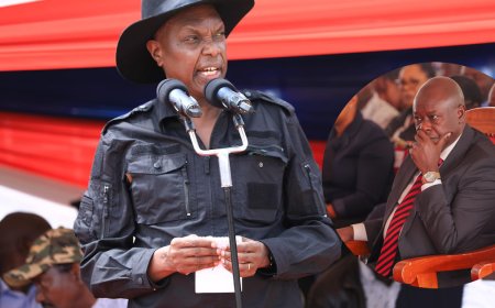 ONE MAN, ONE VOTE, ONE SHILLING