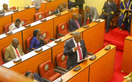 KISII ADMINISTRATION CECM FACES OUSTER DUE TO FRAUD AND INACCURATE HIRING