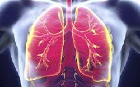 PNEUMONIA: WHAT YOU NEED TO KNOW ABOUT THE DISEASE