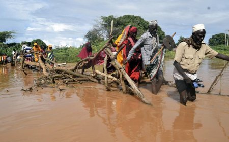 GOVERNMENT SHOULD TAKE ACTION TO MITIGATE EFFECTS OF ONGOING FLOODS