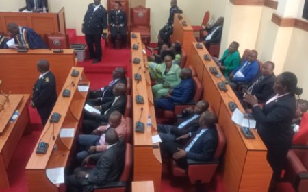 KISII MCAs FIGHT OVER IMPEACHMENT BILL