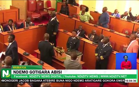 CECM ALFRED NDEMO SURVIVES IMPEACHMENT