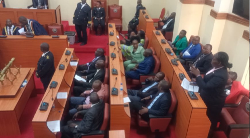 KISII MCAs FIGHT OVER IMPEACHMENT BILL