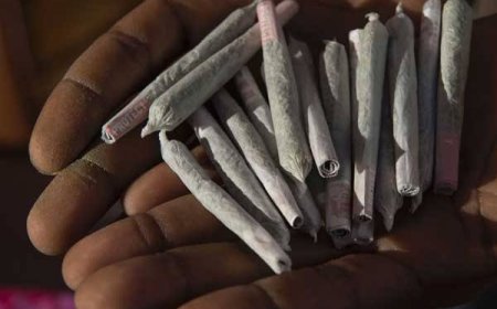 DRUG ABUSE: UNDERSTANDING WHY KISII YOUTHS ABUSE MARIJUANA