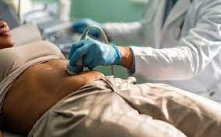  Addressing Endometriosis: Why Government Intervention is Vital