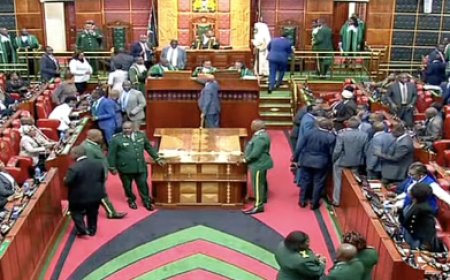 204 MPs vote for Finance Bill, 115 MPs reject it.