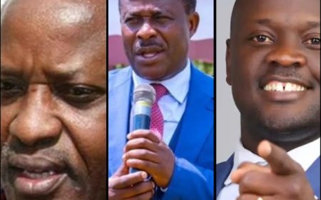 List of MPs that voted NO for Finance Bill 2024 and the absentees