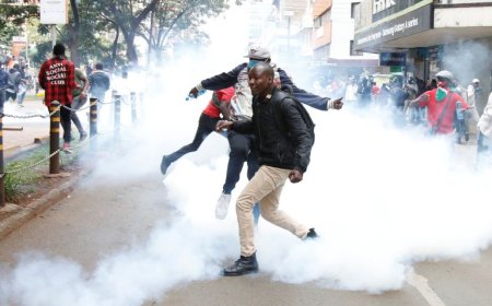 IPOA specifies guidelines for the use of force by police.