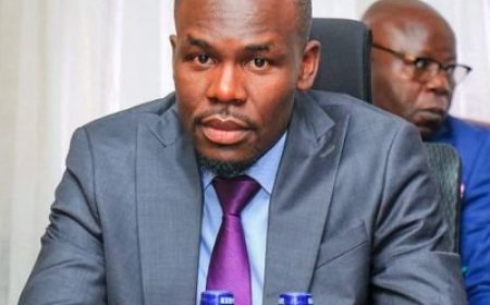 Kisii Mps:How They Vote For Finance Bill 2024