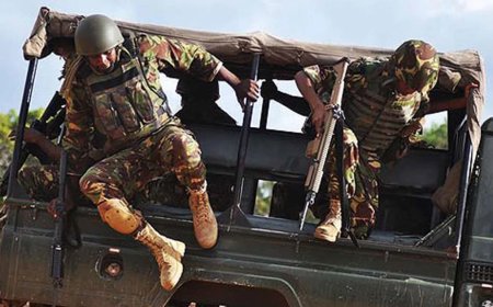 Court Approves KDF Deployment to Put an End to Riots, But Gives Government Two Days to Specify Duration and Scope