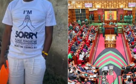Mp's Apologize to the Public for Voting Yes In Finance Bill 2024