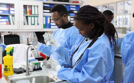 Kenya to Release Genetically Modified Mosquitoes to Fight Malaria.