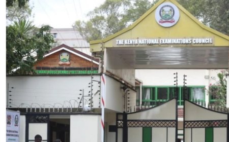KNEC to Carry out A Pilot Study Prior to the Grade 9 Exam