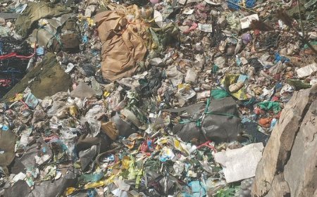 DCI: All bodies retrieved at Kware are female killed in similar way