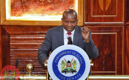 Issues Raised During Vetting of Prof. Kithure Kindiki as CS Interior