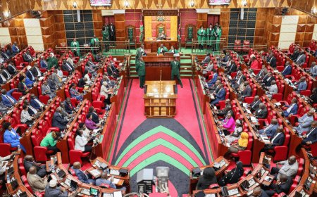 Nyamira MPs cant Agree on Location of University