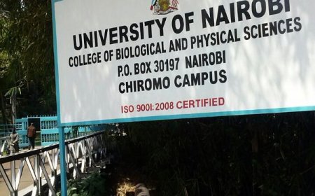 UON Lecturer Commits Suicide